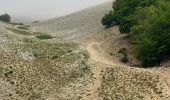 Randonnée Trail Bédoin - Ventoux par combes d’Ansis, de Fiole et de Curnier(21K 1450D+) - Photo 7