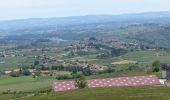 Tocht Stappen Saint-Jean-Saint-Maurice-sur-Loire - St Jean-St Maurice 18km - Photo 4