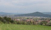 Randonnée A pied Gießen - Gießener Panoramaweg - Photo 4