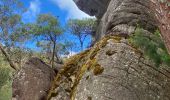 Tocht Stappen Unknown - The Pinacle Grampians Nationaal Park Victoria Australie - Photo 19