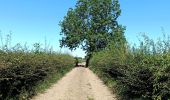 Randonnée Marche Olne - Du plateau à la vallée. Olne - Photo 7