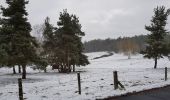 Trail Walking Peyre en Aubrac - Aumont Aubrac / Le Py auberge les gentianes  - Photo 1