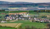 Tocht Te voet Marienmünster - Niesetalweg - Photo 4