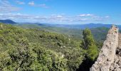 Trail Walking Solliès-Toucas - couvent Saint Hubert - Photo 15