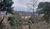 Trail Walking Chantemerle-lès-Grignan - Gym 14 01 22 - Photo 10