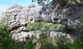 Randonnée Marche Solliès-Toucas - Chêne de Mistral - Puit de Junca - Les jounces - Stele - Bidoufles - Aven de l'enfer - Photo 18
