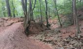 Trail Walking Spa - qwadrifyon entre havette berinzenne r.a.f et malchamps - Photo 1