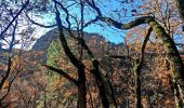 Trail Walking La Robine-sur-Galabre - 20191209_Passerelle Bès_Lame Facibelle_Belvédère Pas d'oiseaux  - Photo 3