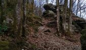 Excursión Senderismo Bouillon - Laddertjeswandeling-Poupehan-Cretes de Frahan - Photo 8