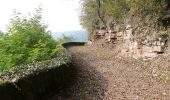 Excursión A pie Neckargerach - Rundwanderweg Neckargerach 4: Gertberg-Weg - Photo 2