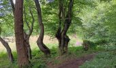 Trail Walking Herve - bolland . favechamps . la vaux . melen . bolland  - Photo 16