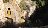 Excursión Senderismo Le Pradet - La Colle Noire - Photo 1