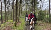 Trail Horseback riding Theux - Ninglinspo  - Photo 10