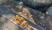 Percorso Marcia Engis - MANE-Heritage - Les Tchafornis - Engis - Photo 3
