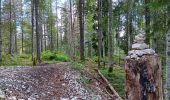 Tour Wandern Les Rousses - lac des rousses . roche blanche . fort du risoux - Photo 6