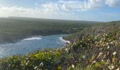 Trail Trail Port-Louis - Anse Bertrand massious porte d’enfer - Photo 7
