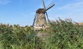 Tocht Elektrische fiets Dordrecht - Les moulins de Kinderdijk à Biesbosch - Photo 4