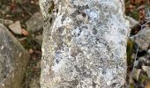 Trail On foot Le Locle - Les Frêtes - fixme - Photo 10
