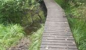 Tour Wandern Malmedy - xhoffraix . cheneux . moulin et cascade bayehon . vieux chêne . longfaye . xhoffraix - Photo 5