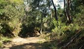 Trail On foot Torralba del Pinar - Trans- Espadan - Photo 10