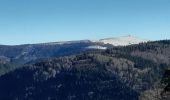 Tour Wandern Gerdsee - gerardmer - la mauselaine . tête grauvelin . Roche boquet . croix claudé . hautes Vannes . la mauselaine  - Photo 3