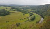 Tocht Stappen Esneux - Hony - La Roche aux Faucons - Esneux - Photo 13