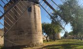 Excursión Bici de carretera Sernhac - 30 sernhac Beaucaire velo - Photo 2