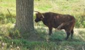 Tocht Stappen Sluis - Autre balade à trotinette autour de Sluis - Photo 9