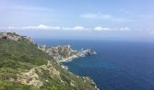 Trail Walking Hyères - Porquerolle côté Est (Pointe des Mèdes) - Photo 1