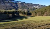 Tour Wandern Lans-en-Vercors - bec de l'aigle cascade du bruyant - Photo 1