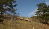 Trail Walking Belbeuf - 20220419-Belbeuf  - Photo 11