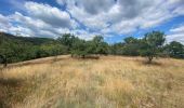 Tour Wandern Kiischpelt - Escapardenne Eisleck Trail: Kautenbach - Clervaux - Photo 17