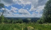 Tocht Stappen Bouillon - rando rochehaut 11-06-2022 - Photo 4