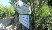 Tour Zu Fuß Calolziocorte - Sentiero 812: Lorentino (Calolziocorte) - Passo della Pertulena - Photo 10