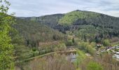 Trail Walking Niedersteinbach - Froensbourg - Photo 5