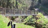 Trail Walking Chambon-sur-Lac - BOUCLE AUTOUR DE LA COUZE DE SURAINS - Photo 20