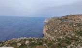Excursión Senderismo Ħad-Dingli - MALTE 2024 / 01 Dingly's Cliffs - Photo 7