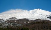 Randonnée A pied Belpasso - Belpasso - Monte Manfrè - Photo 6