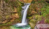 Trail On foot Wald (ZH) - Wald - Scheidegg - Photo 4