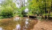 Tour Zu Fuß Moret-Loing-et-Orvanne - La basse vallée du Lunain version 30 km - Photo 8