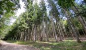 Randonnée Marche La Chapelle-en-Vercors - Belvédère de Remoulat  - Photo 7