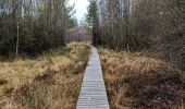 Tocht Stappen Gouvy - Promenade vers la réserve naturelle 