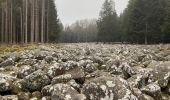 Randonnée Marche Arrentès-de-Corcieux - Champs des roches  - Photo 3