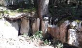 Tocht Stappen Autrans-Méaudre en Vercors - 02 07 19 - Photo 9