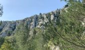 Tour Wandern Cassis - Plan olive - Photo 19