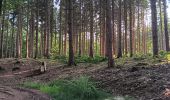 Randonnée Marche Sprimont - dans les bois au nord de Banneux - Photo 2