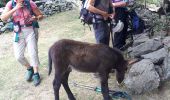 Excursión Senderismo Lavaldens - Lacs de Rif Bruyant - Photo 3