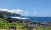 Tocht Stappen Saint-Joseph - cap jaune - Photo 3