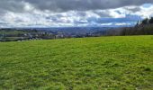 Tour Wandern Bouillon - Rochehaut 190323 - Photo 6