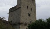 Tocht Stappen Carcassonne - Carcassone - Photo 5